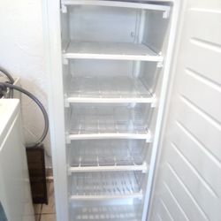 Upright Freezer With 5 Shelves 