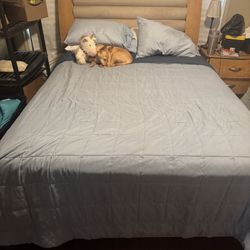 Queen Bedroom Set