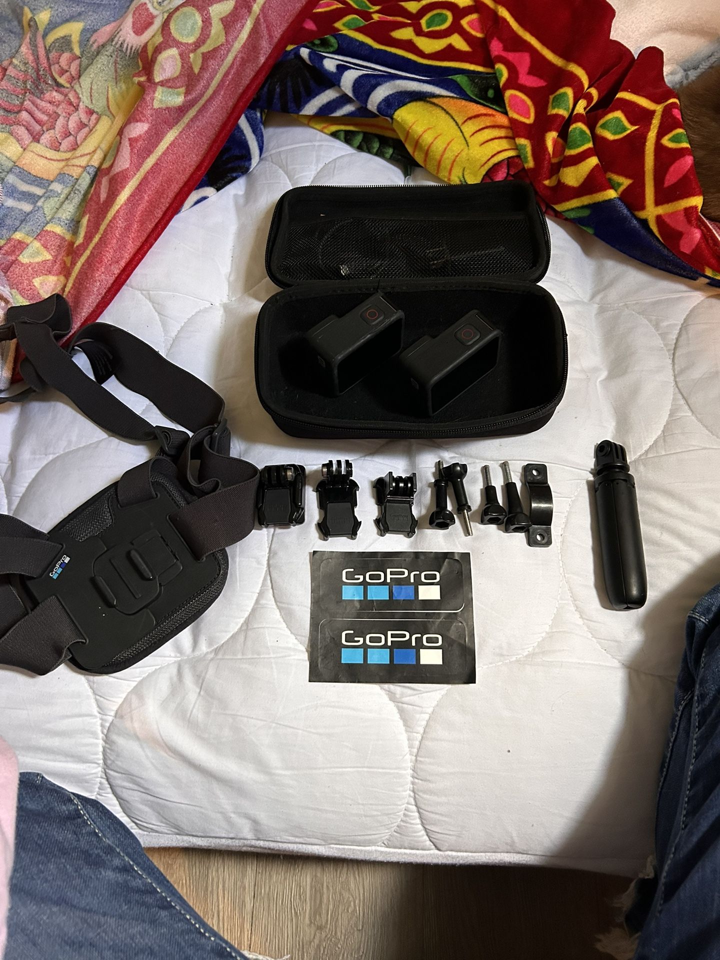 2 Go Pro9 With Accessories 