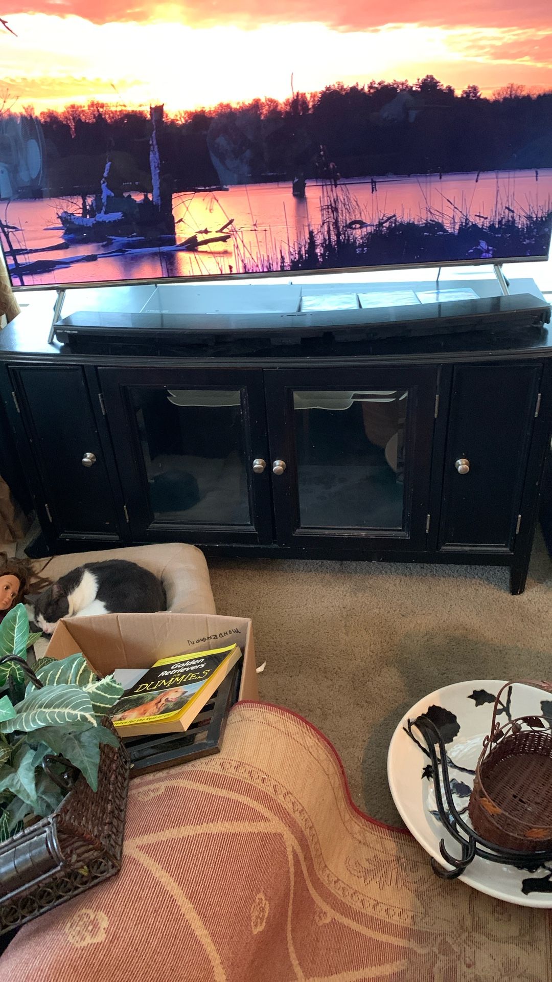 TV Stand