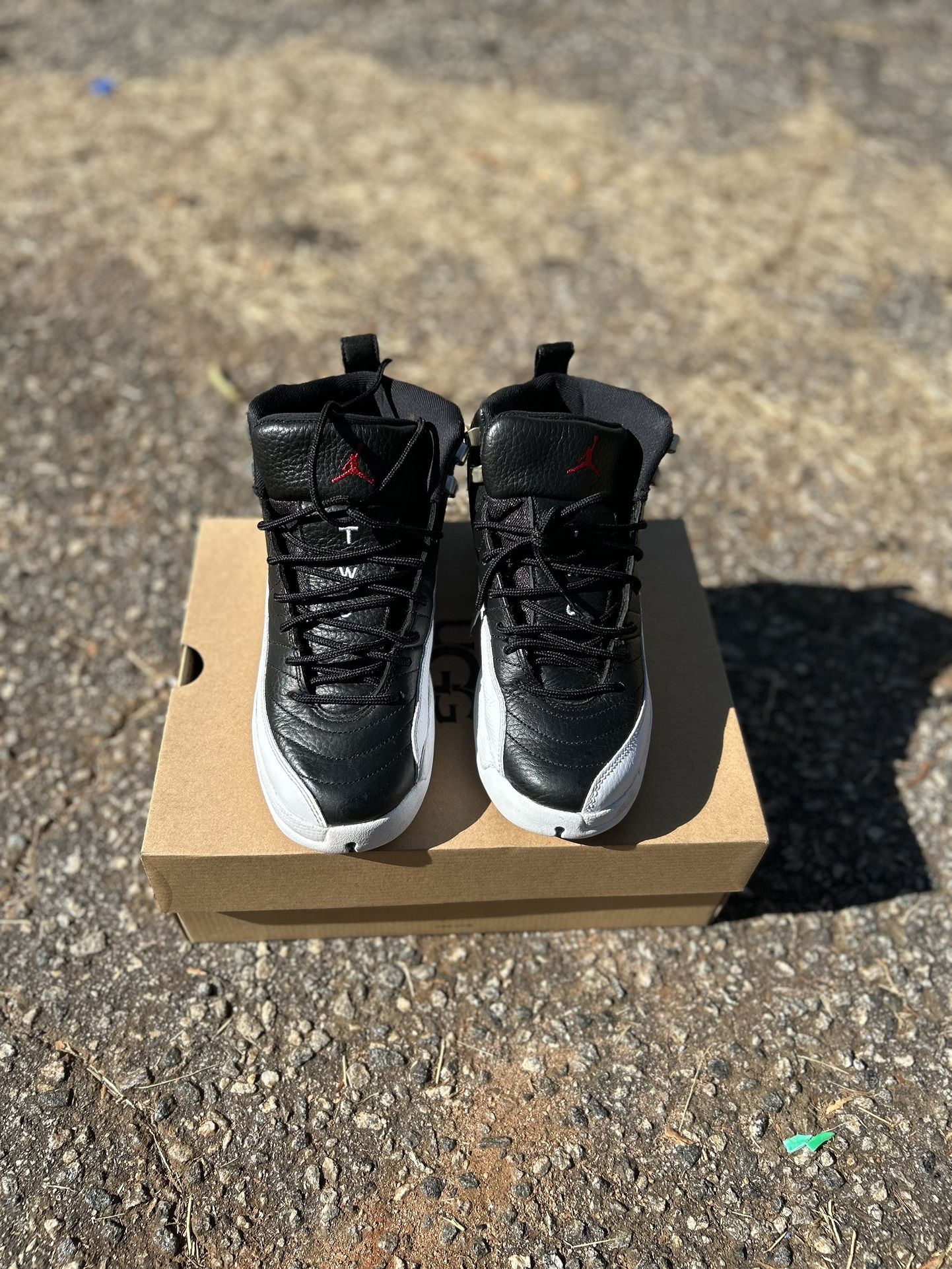 jordan 12 (youth 7)