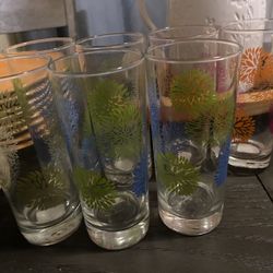 Glass Cups