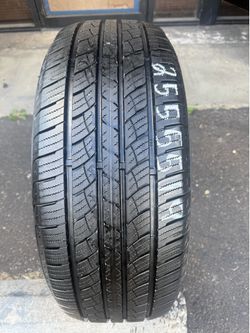 255-55-19
