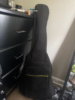 Les Paul with Gig Bag