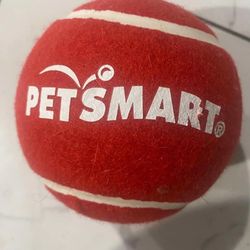 9.5" Big Petsmart Red Tennis Ball for Dogs