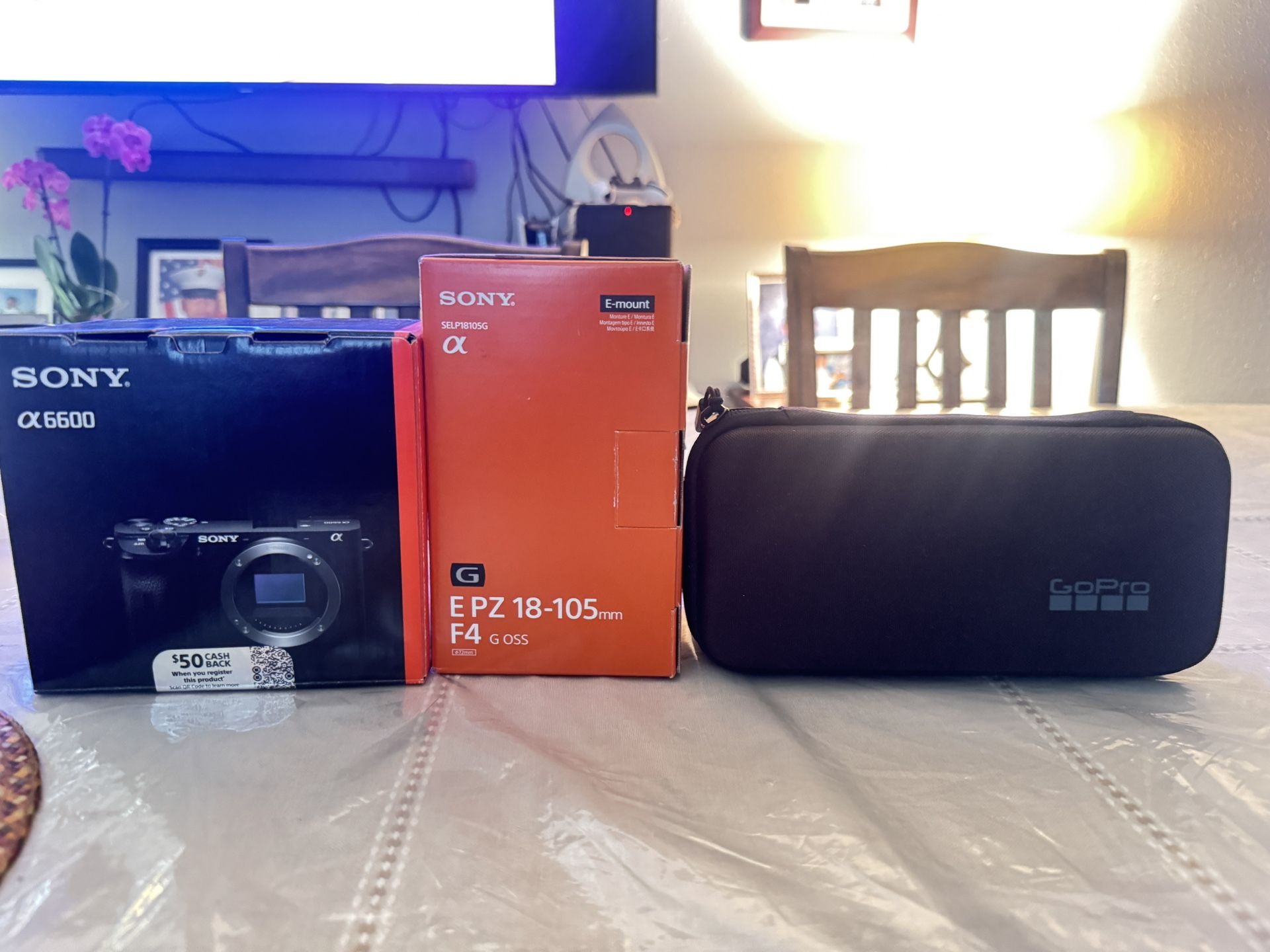 Sony Alpha 6600