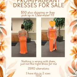 Prom / Pageant Dress