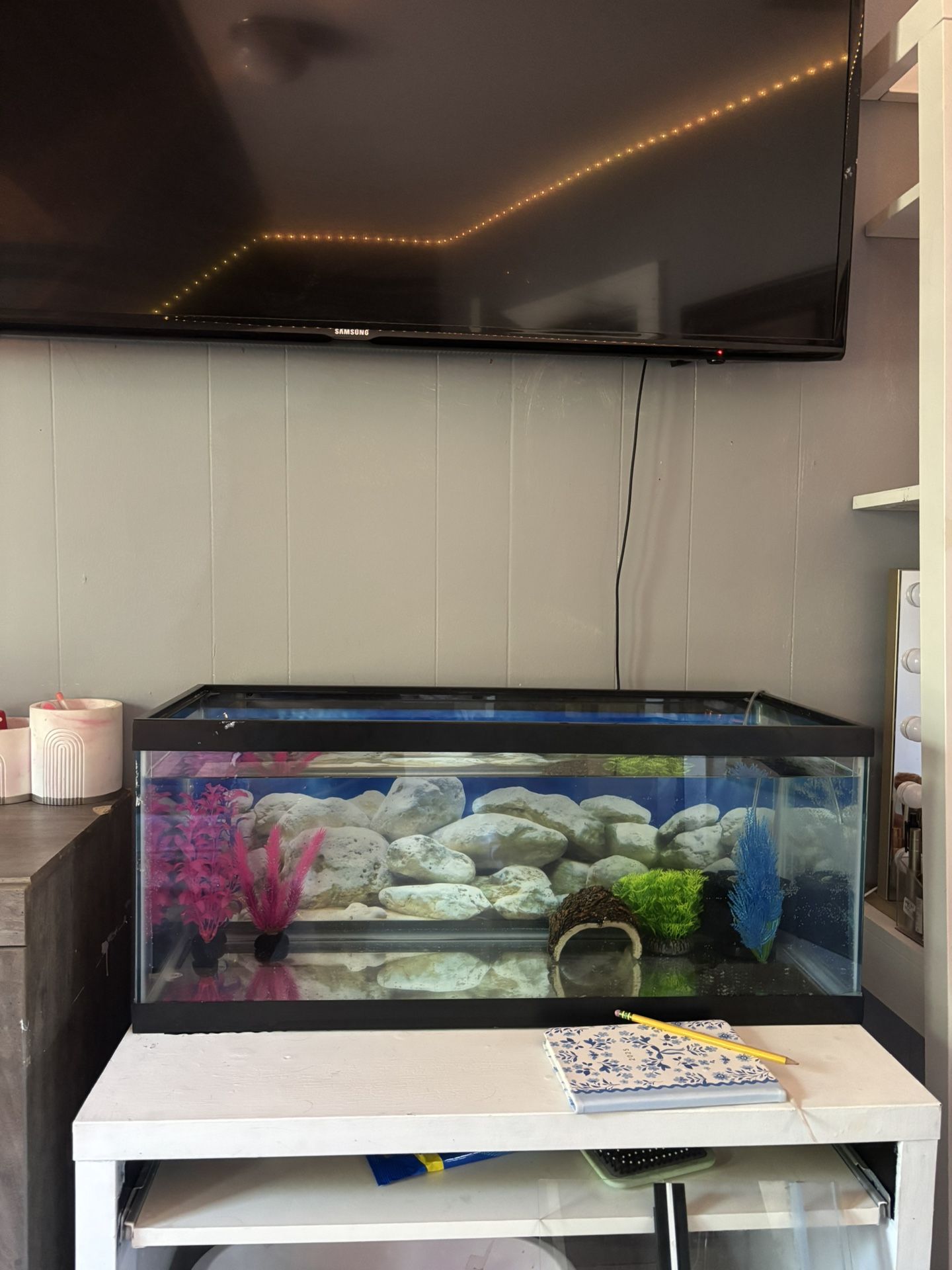 Fish Tank
