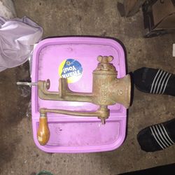 Meat Processor Older