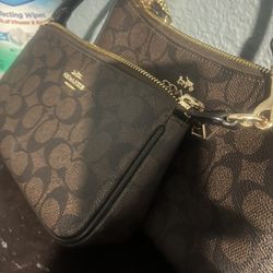 Coach Teri Bags Brand New From Store 