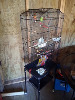 Bird cage