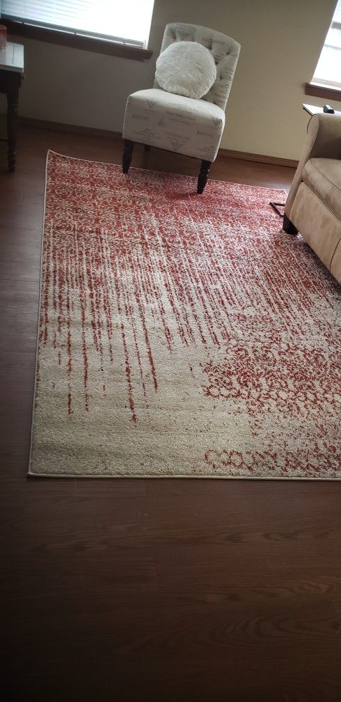 Brand NEW Area Carpet