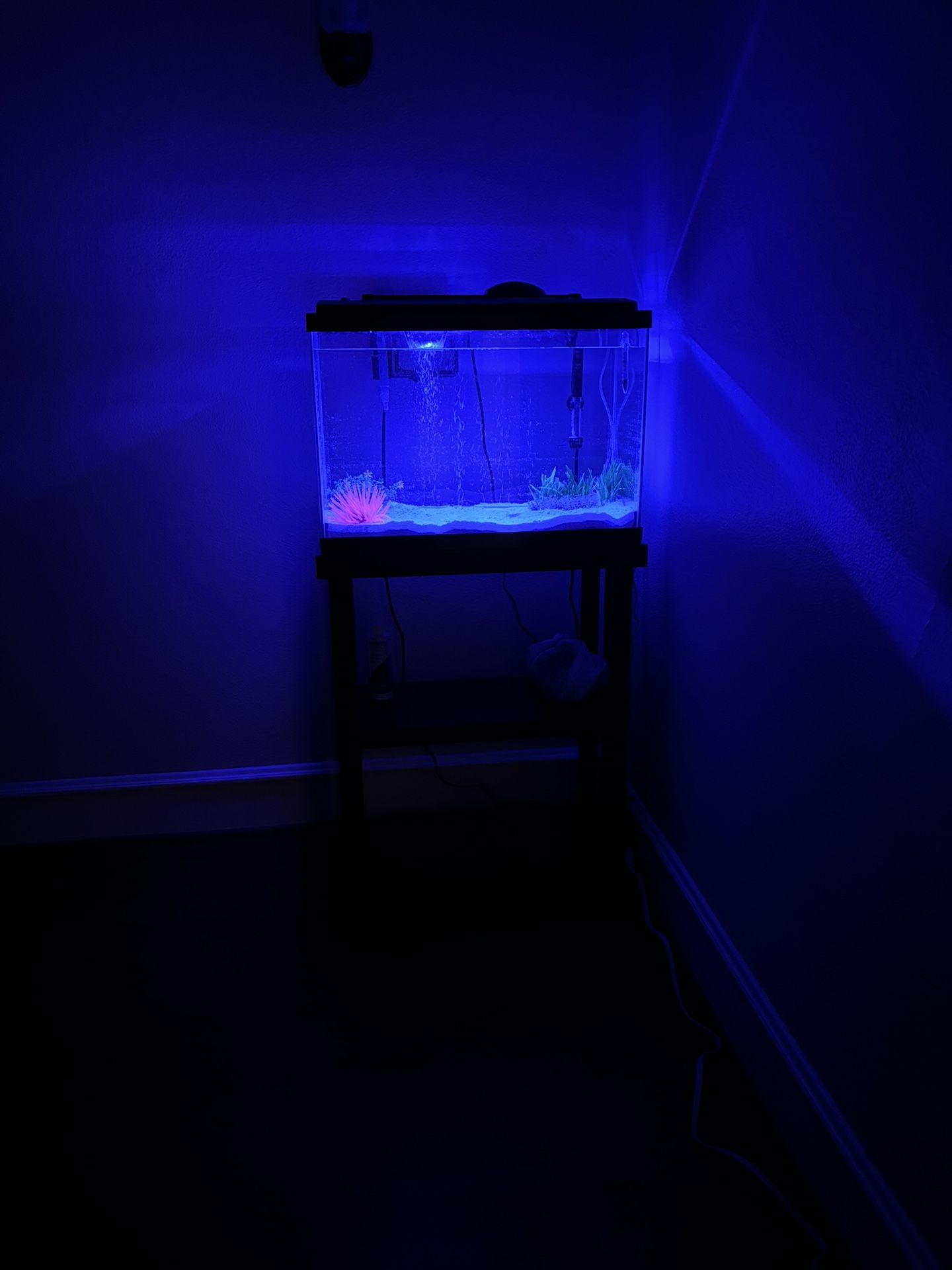25 gallon aquarium tank W/ accessories (Price is negotiable)
