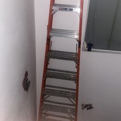 Werner Ladder 12 Foot 
