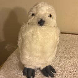 Harry Potter Owl