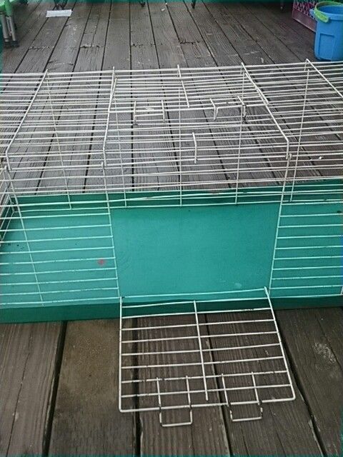 Reddit guinea pig chinchilla cage