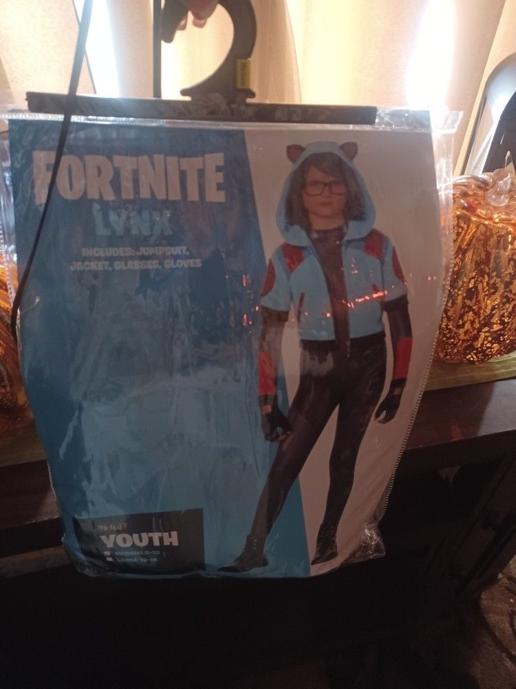 Halloween Costume