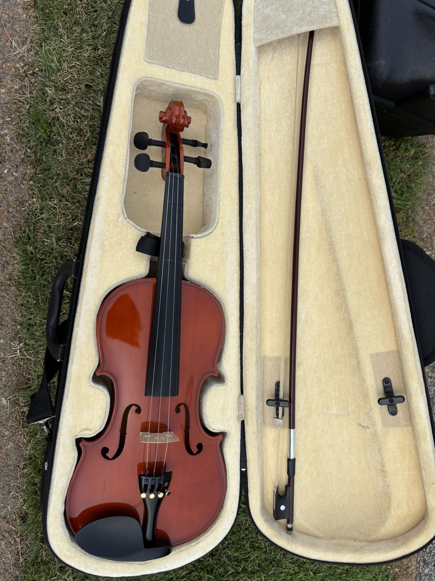 Violin
