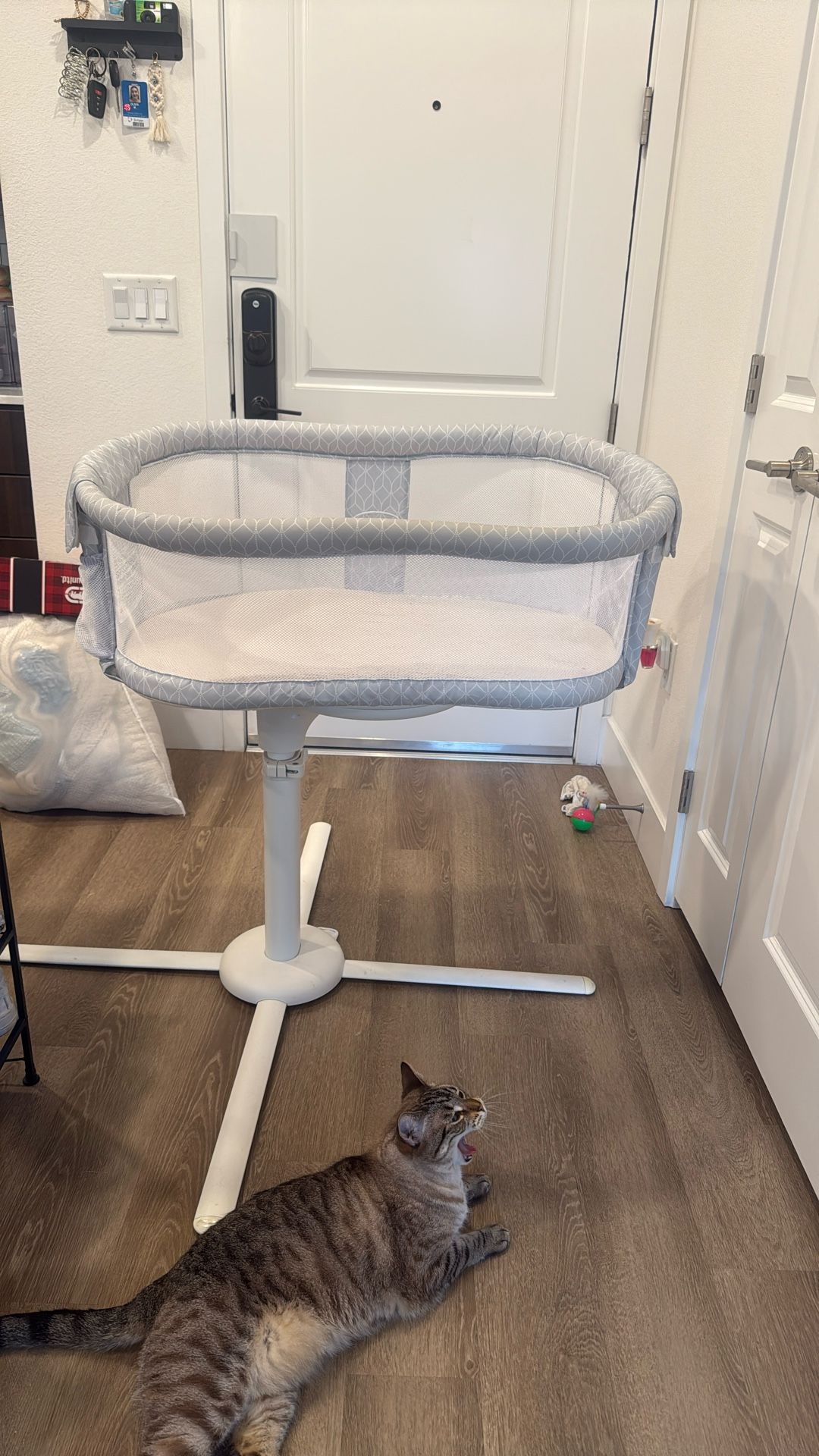 halo bassinet