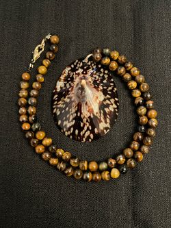 Oval Limpet Shell Necklace with Tigers Eye