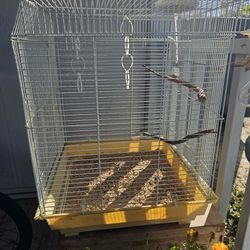 Bird Cage $30