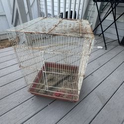 Bird Cage $15