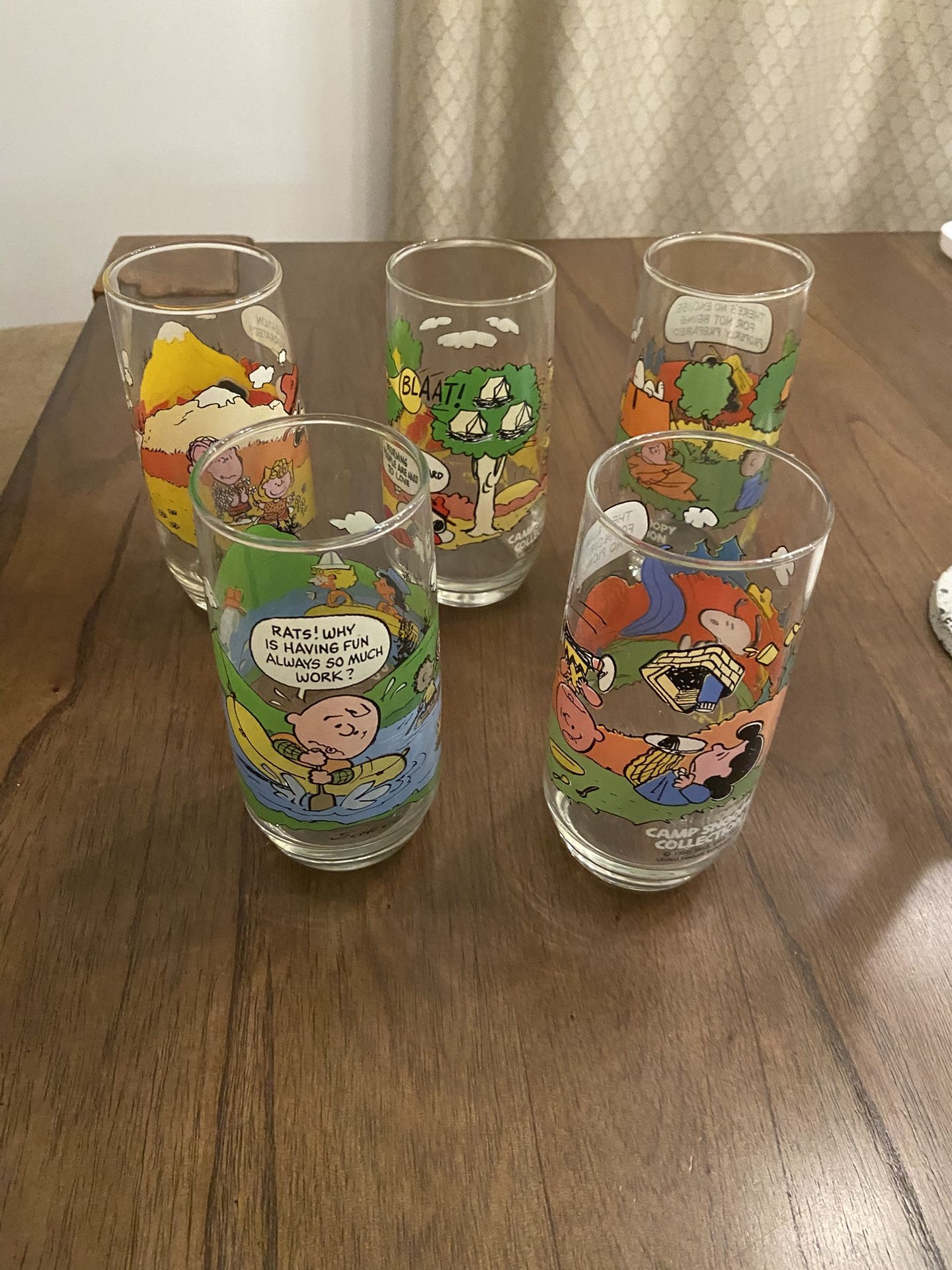 McDonalds Peanuts Camp Snoopy Collection Glasses