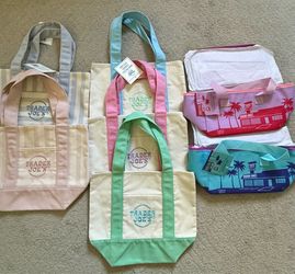 Trader Joe’s bag, insulated, pastel and striped