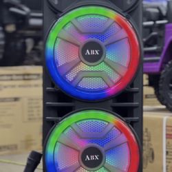 Dual 12” Party Speaker w/ wireless mic