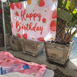 Alguna Mariachi Disponible