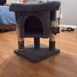 Cat House