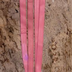 Classic 6 Ft Pink Webbed Nylon Dog Leash
