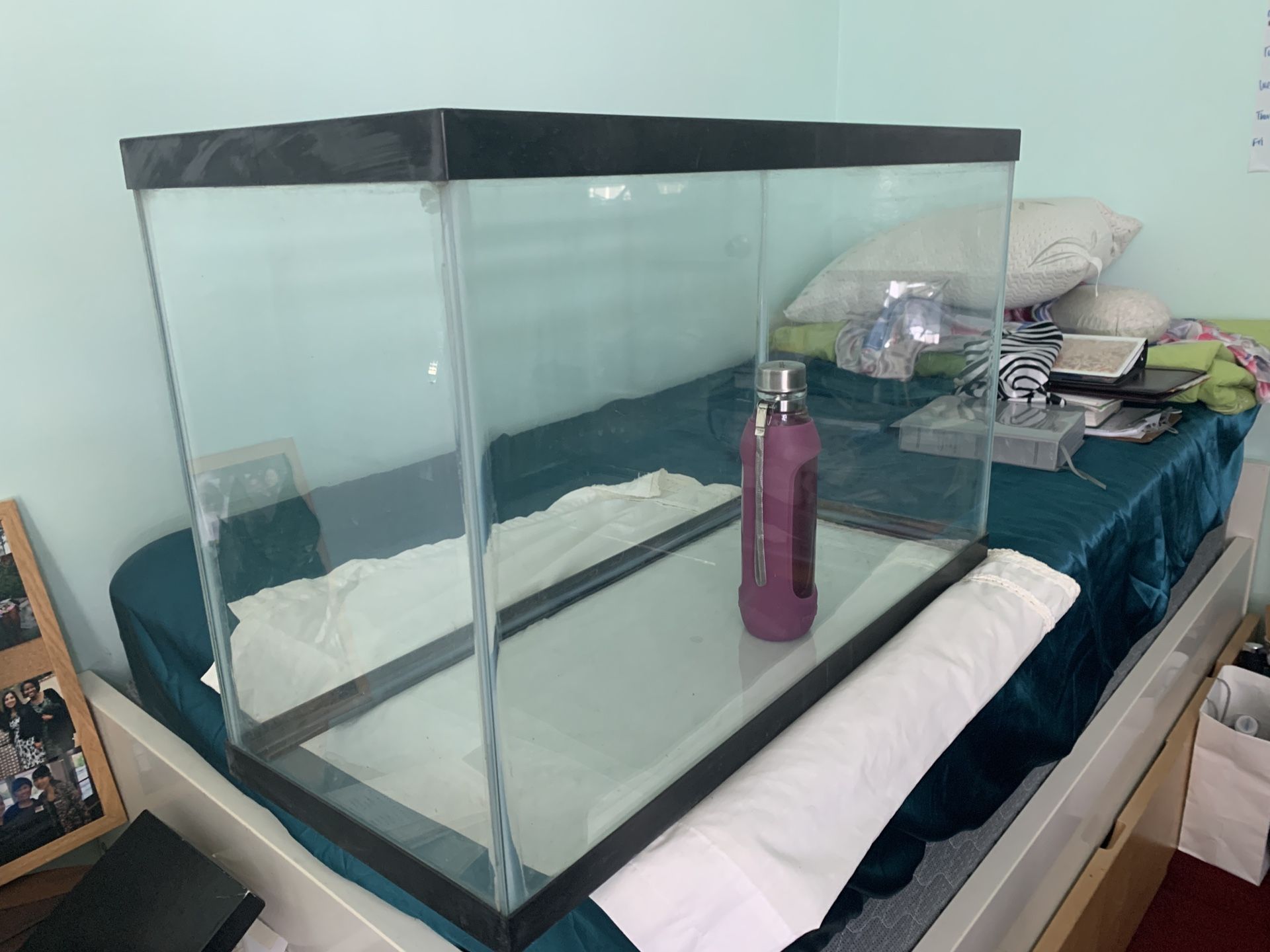 29 gallon aquarium fish tank