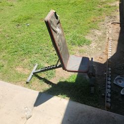 Workout Bench 