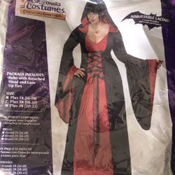 Witch Costume 2x NEW