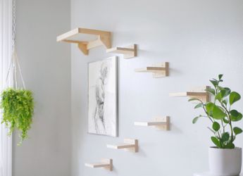 Wall Mounted Cat Steps With Bed