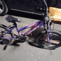 Nishiki Mountain Bike 