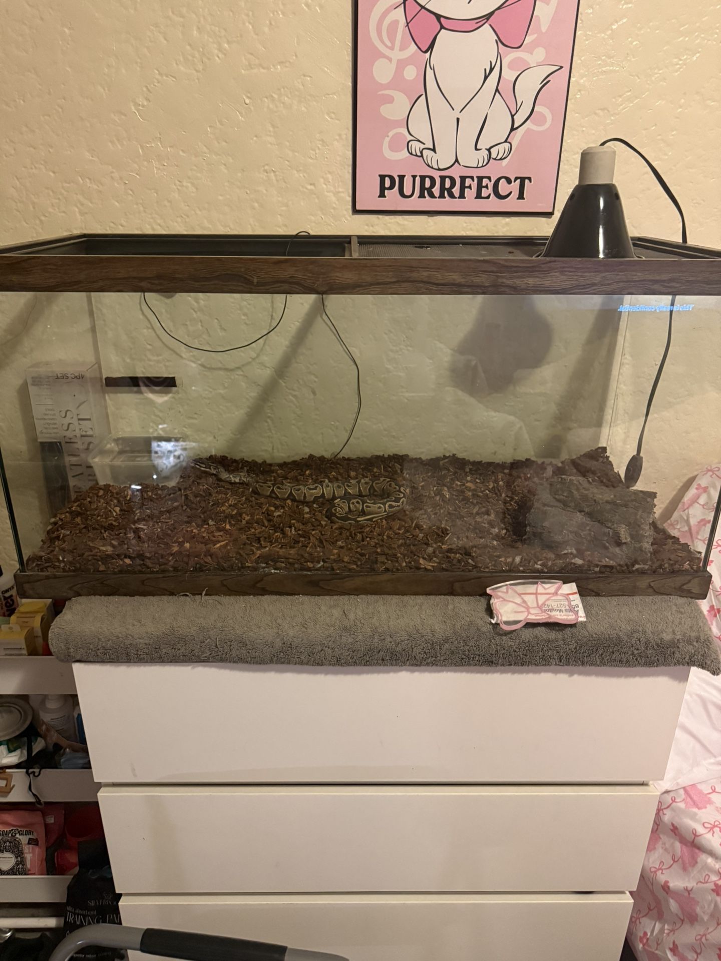 60 Gallon Reptile Tank