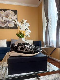 Dior B30 Black