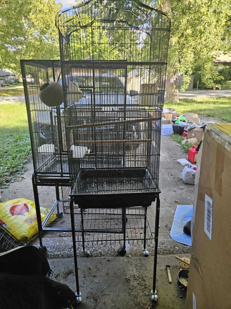 Bird Cages