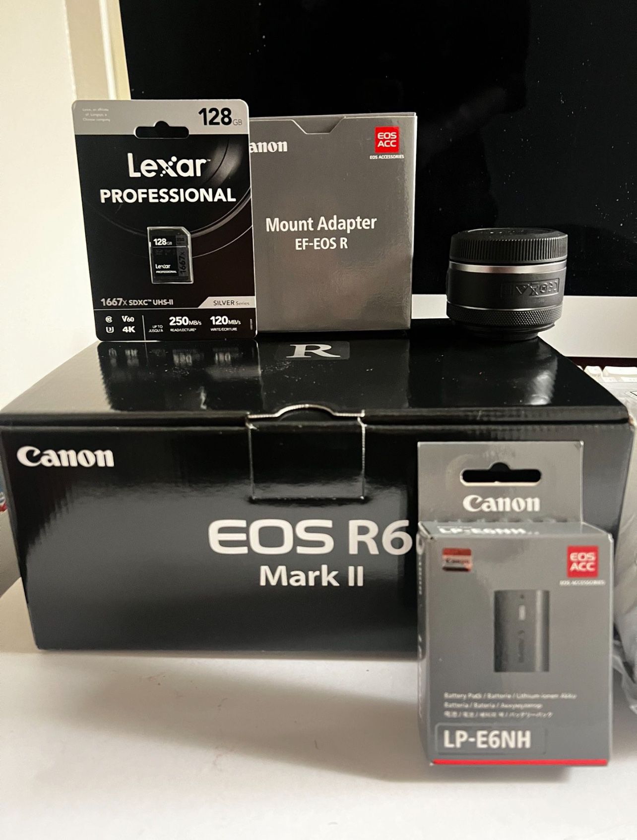canon r6 mark ii with extras