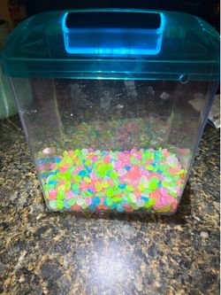Fish Tank