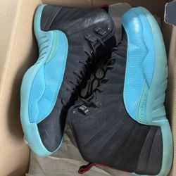 Jordan 12 Size 10.5