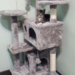 Cat Tower Tree House 