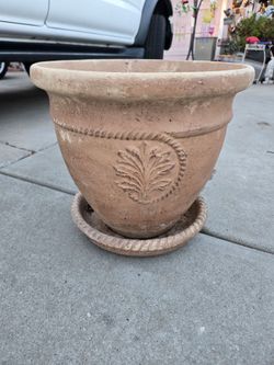 Large Brown Terracotta Pot