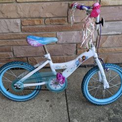 Frozen Bike 16"