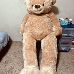 Brand New Teddy 