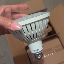 FREE Box of LED Lights Bulbs