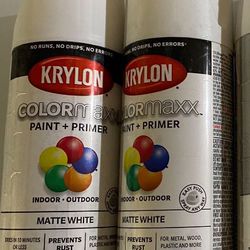 Spray Paint And Primers X 2 