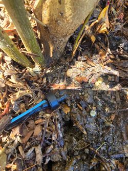 Irrigation Valves for herb garden